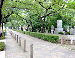 都立青山霊園