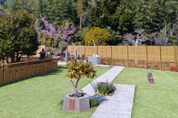 50年供養墓りんどう