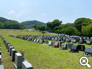 緑に囲まれた園内の風景