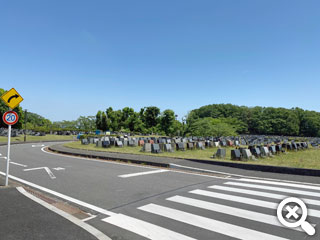 園内を縦断する舗装道路の写真