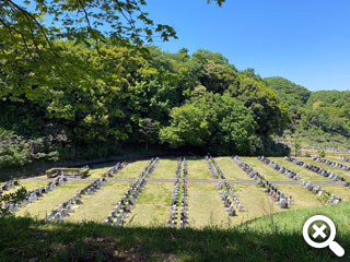 崖の上の木陰から見おろした墓域の写真