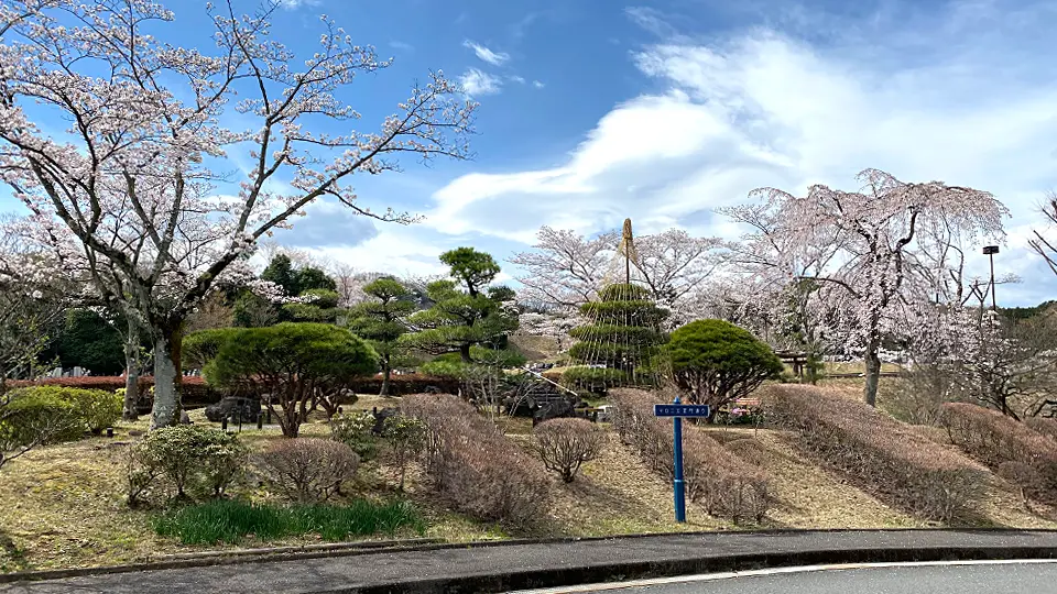 桜の季節