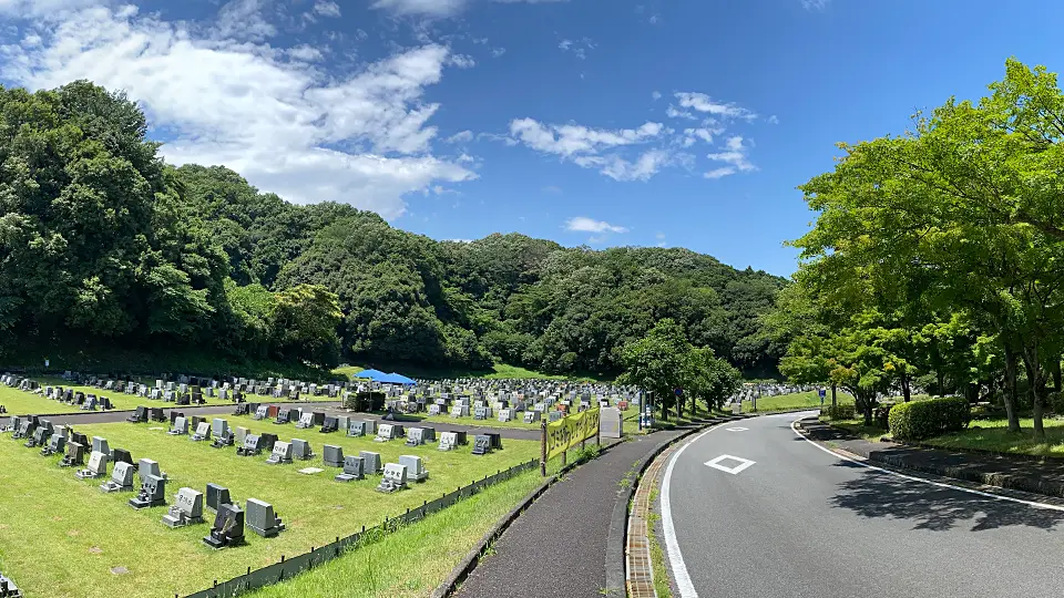 園内を走る車道