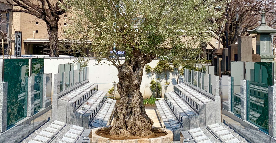 杉並堀ノ内樹木葬 オリーブ光の庭園