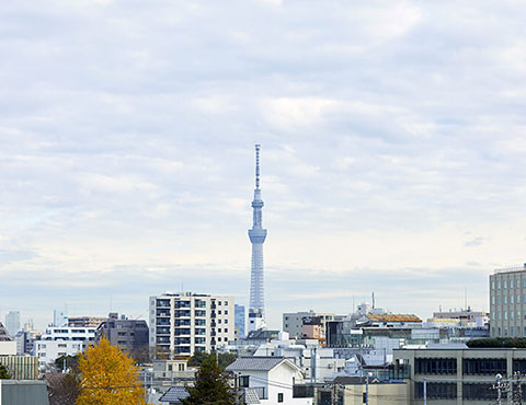 施設から見える景観