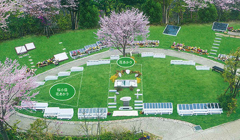 桜小径花あかりの場所