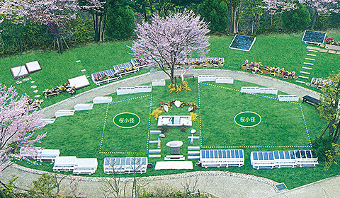 桜小径の場所