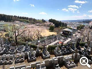 墓域から見た風景