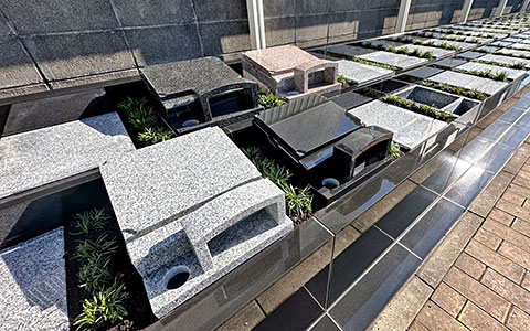 50年供養墓りんどう