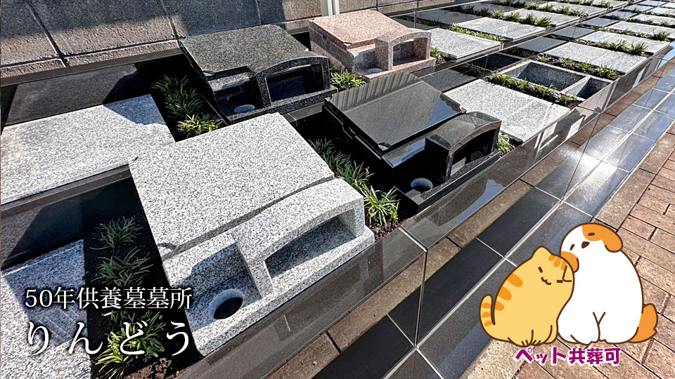 50年供養墓所りんどう
