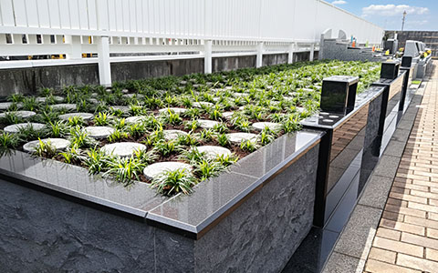 樹木葬 たんぽぽ２