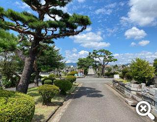 園内通路の植栽の写真