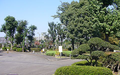 墓域風景