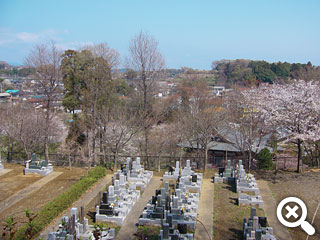 墓域からの眺め