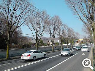 美山街道から見た妙観寺