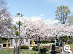 樹木庭園と納骨堂の写真