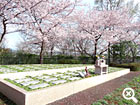 龍泉寺 樹木庭園墓の写真