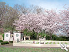 樹木庭園墓と納骨堂の写真