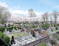 龍泉寺墓地