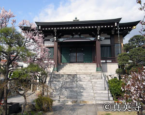 東福院 玄関の写真