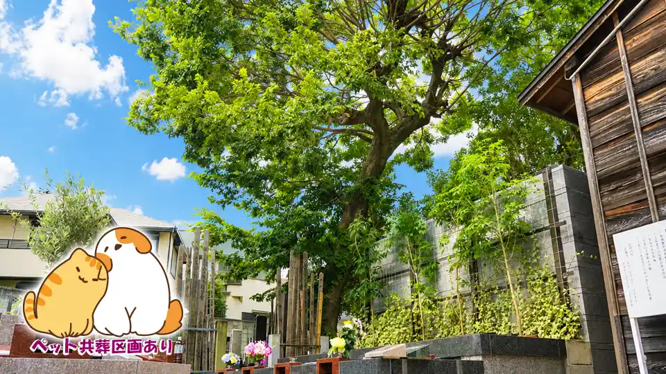 根津 正慶寺 樹木葬「蓮」