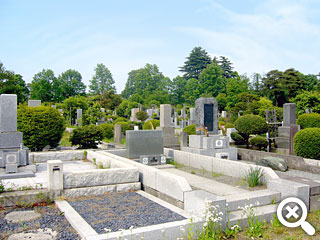 緑に囲まれた墓域風景の写真