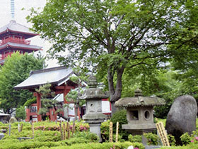 雲龍寺 光明霊園
