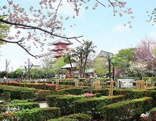 雲龍寺 光明霊園