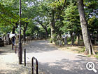 園内通路