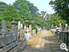 谷中霊園墓域風景2