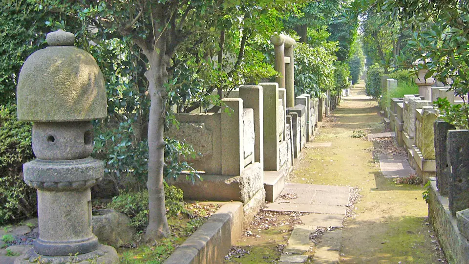 園内風景