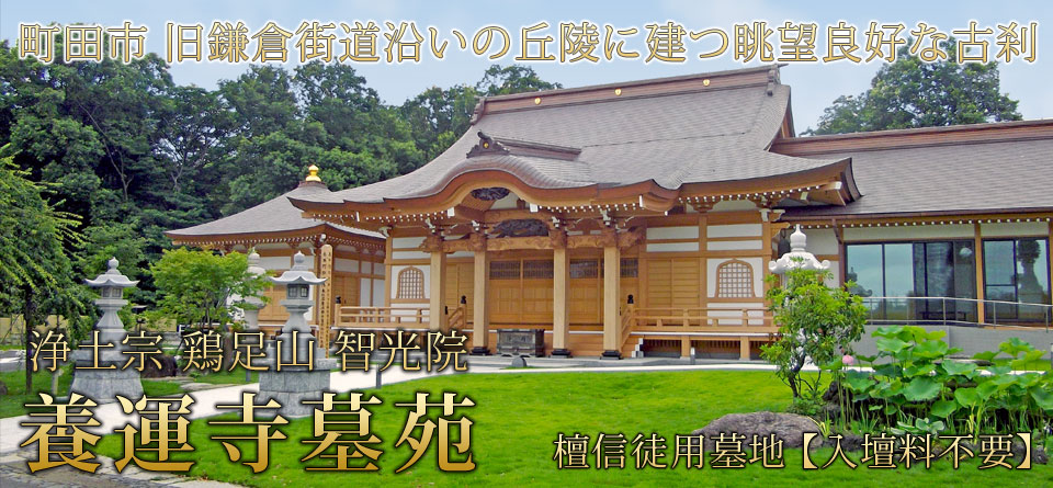 浄土宗 鶏足山 智光院 養運寺墓苑。町田市鎌倉街道沿いの丘陵に建つ眺望良好な古刹。檀信徒用墓地【入壇料不要】