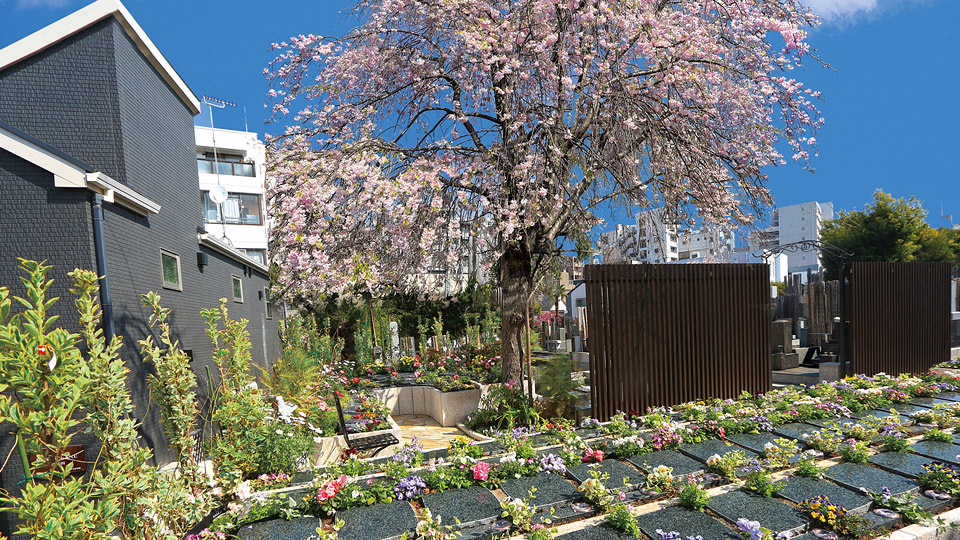 早稲田宗参寺 樹木葬「優美の舞」